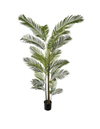 PALMERA ARECA realista 240 cm. Essentials®