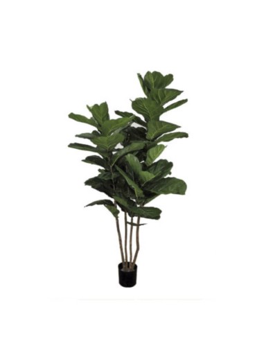 Árbol FICUS LYRATA realista 200 cm. Essentials®