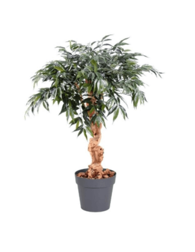 Árbol Shirakashi artificial realista 120 cm Essentials®